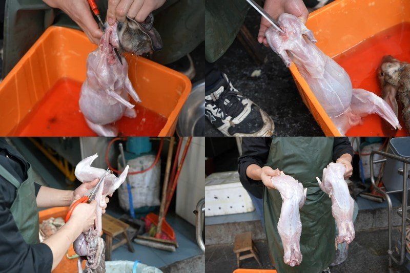 Làm sạch thỏ sau khi loại bỏ nội tạng