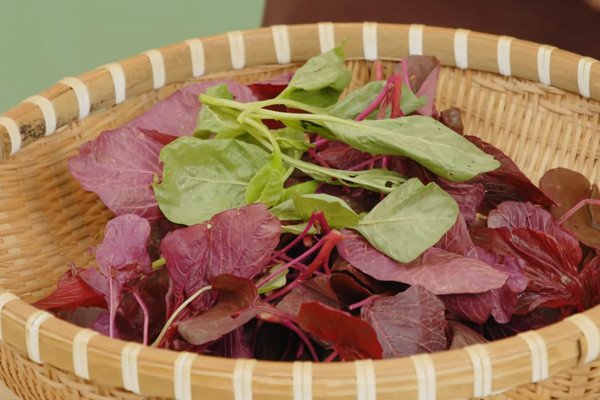 Loại bỏ lá rau dền già héo