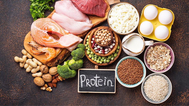 Lợi ích của protein trong việc kiểm soát calo và hỗ trợ giảm cân hiệu quả