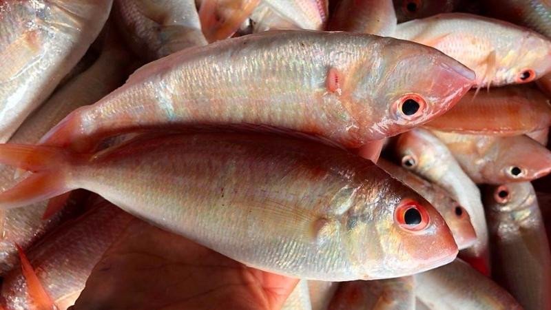 Lợi ích sức khỏe từ cá hường, cân nhắc calo khi làm cá hường chiên sả