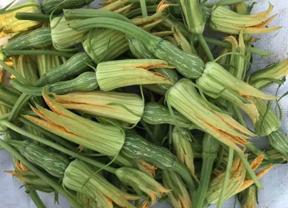 Lợi ích sức khỏe từ hoa bí