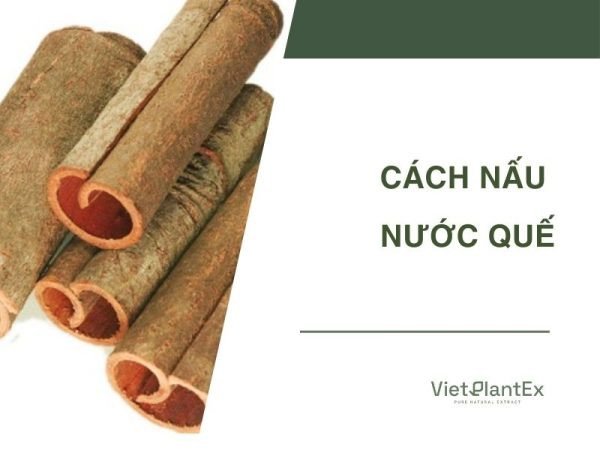 Ly nước quế uống thơm ngon, ấm áp, sẵn sàng thưởng thức