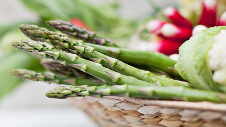 Măng tây xanh tươi