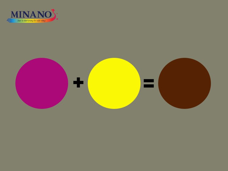 Màu tím và màu vàng kết hợp với nhau tạo thành màu nâu