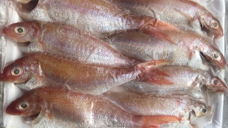 Mẹo bảo quản cá hường giữ trọn dinh dưỡng cho món cá hường chiên sả