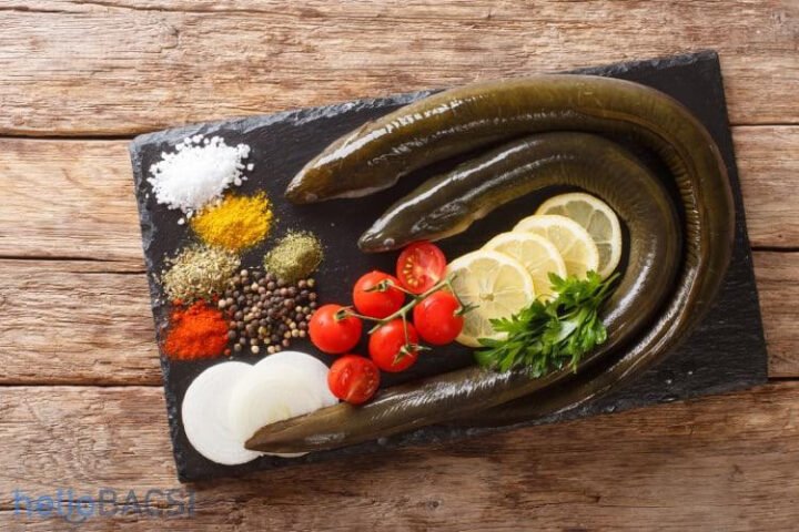 Mẹo chọn lươn tươi sống, cách chọn lươn ngon nấu cháo, mua lươn cho bé