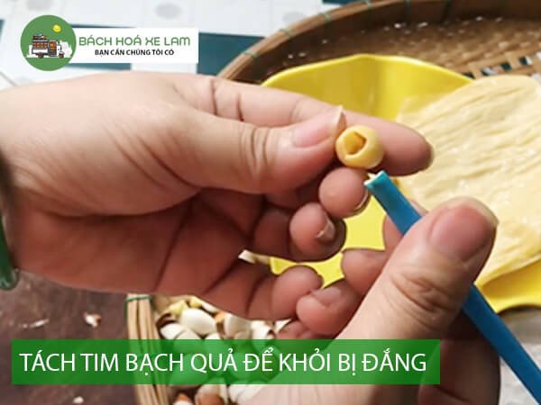 Mẹo Sơ Chế Bạch Quả để Không Bị Đắng