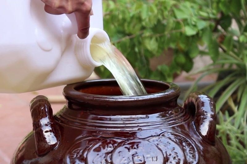 Mẹo xử lý mùi khê trong cơm rượu khi nấu