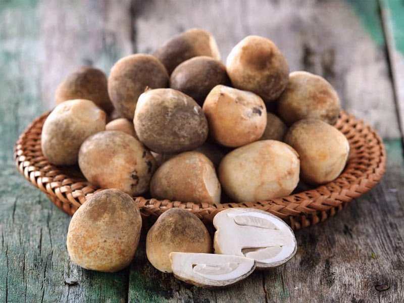 Món cá chép giòn xào nấm rơm với cà chua và rau thơm