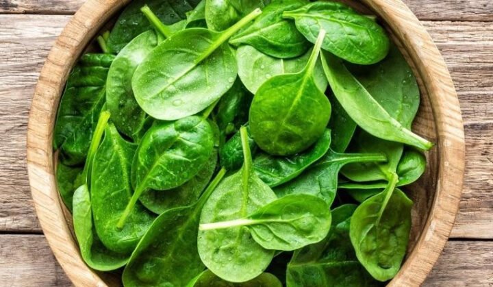 Mồng tơi tươi chứa nhiều chất dinh dưỡng tốt cho sức khỏe