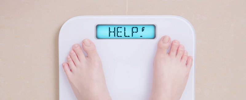 Một đĩa cơm rang trứng đầy ắp, biểu thị lượng calo cần kiểm soát