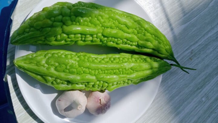 Mướp đắng tươi và tỏi chuẩn bị cho món xào