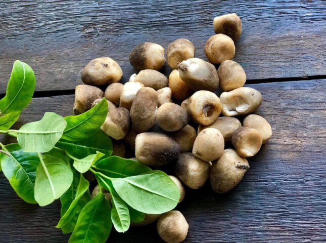 Nấm rơm tươi giàu dinh dưỡng, 100g nấm rơm bao nhiêu calo