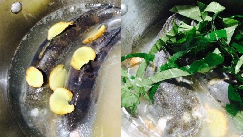 Nấu canh cá bớp