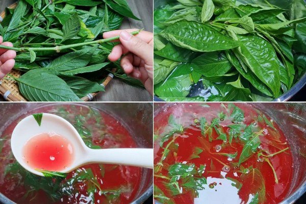 Nấu nước lá cẩm để tạo màu tự nhiên cho xôi