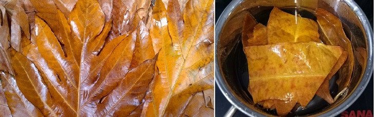 Nấu nước lá sake trên bếp, chuẩn bị nước lá sake giải nhiệt