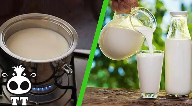 nấu sữa bò tươi đúng cách