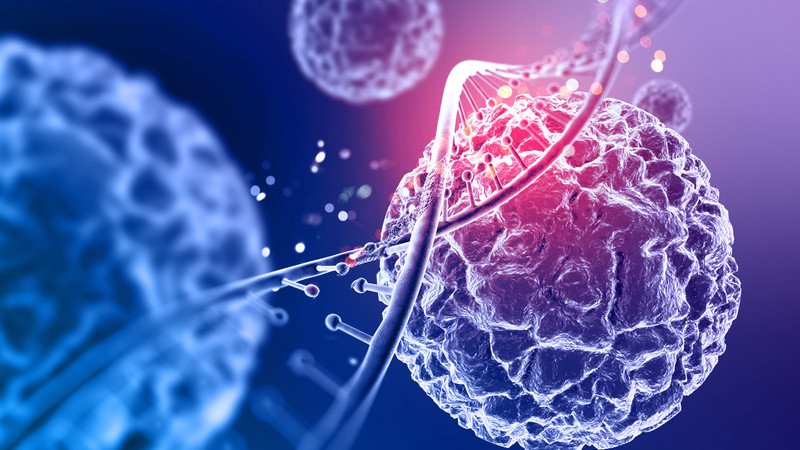 Nem nướng nướng than và nguy cơ sức khỏe tiềm ẩn