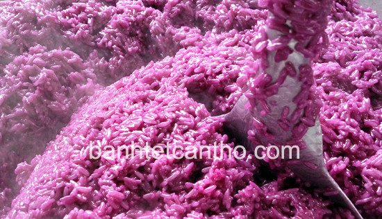 Nếp đã xào dẻo và thơm, sẵn sàng cho công đoạn gói bánh tét