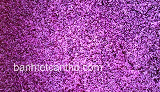 Nếp ngâm lá cẩm tạo màu sắc tự nhiên cho bánh tét