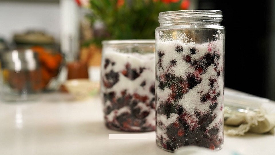 Ngâm dâu tằm cùng đường trắng để làm siro