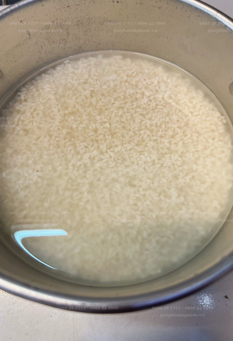 Ngâm gạo nếp cái hoa vàng chuẩn bị cho cách nấu xôi gấc bằng xửng hấp