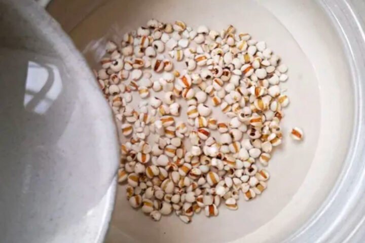 Ngâm hạt bo bo vào trong nước để chúng nở mềm và dễ nấu chín hơn.