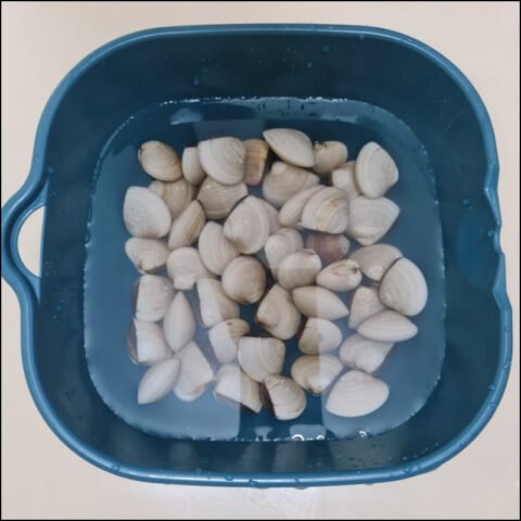 Ngao tươi ngon cho món canh chua