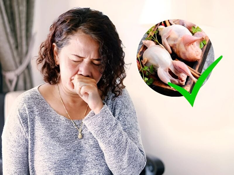 Người bị ho có thể ăn cháo chim bồ câu để bồi bổ sức khỏe