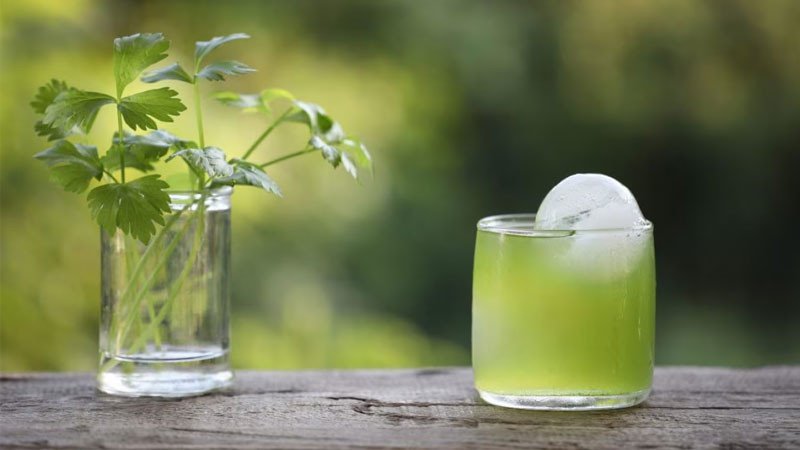 Người đang mang bầu không nên dùng nước ngò rí