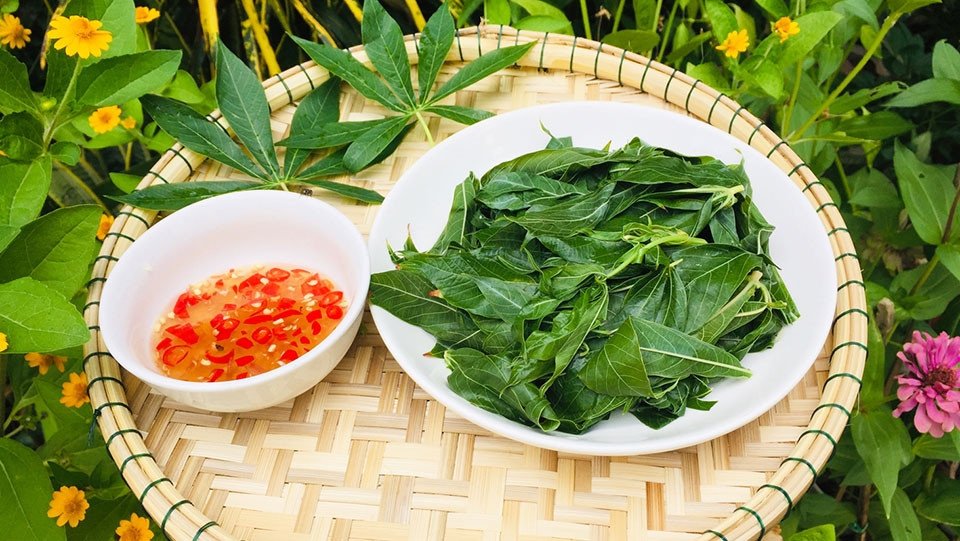 Nguy hiểm khi ăn rau sắn tươi sống chưa qua chế biến