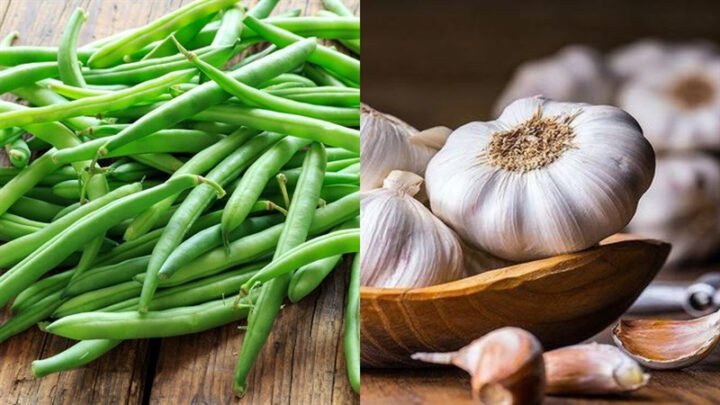 Nguyên liệu chính cho món đậu que xào tỏi thơm ngon