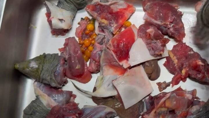 Nguyên liệu chính chuẩn bị cho món cách nấu ba ba nấu chuối đậm đà