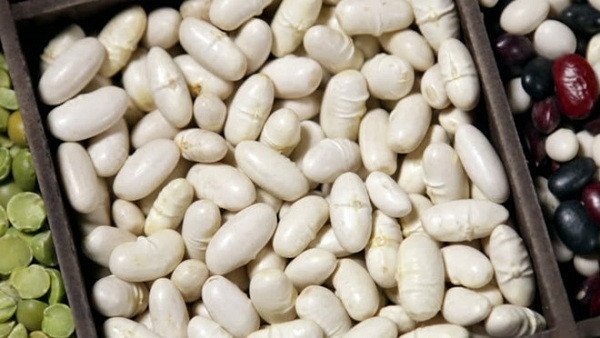 Nguyên liệu chính để nấu chè đậu trắng truyền thống gồm đậu trắng, gạo nếp, nước cốt dừa.