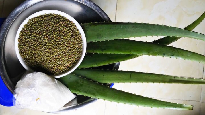 Nguyên liệu chính để nấu chè nha đam đậu xanh