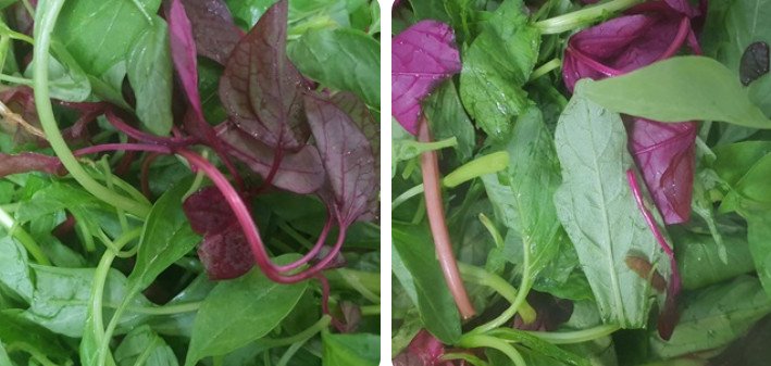 Nguyên liệu chuẩn bị cho cách nấu canh rau dền chay