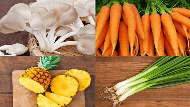 Nguyên liệu chuẩn bị cho cách xào nấm bào ngư chay