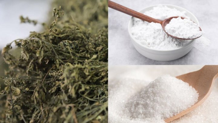 Nguyên liệu chuẩn bị để nấu thạch đen Cao Bằng tại nhà.