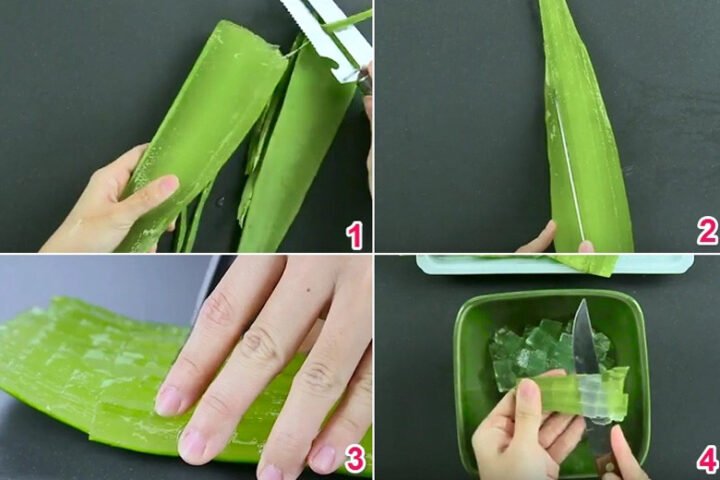 Nguyên liệu nha đam tươi để nấu chè