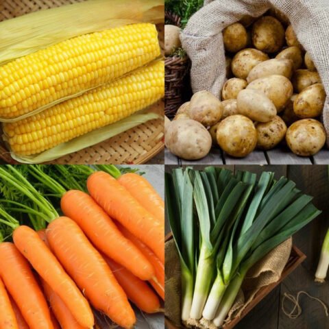 Nguyên liệu tươi ngon cho món canh chay thập cẩm