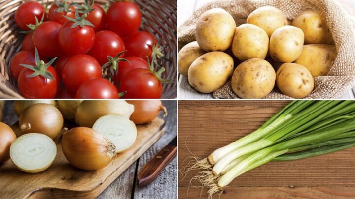 Nguyên liệu tươi ngon cho món khoai tây xào cà chua