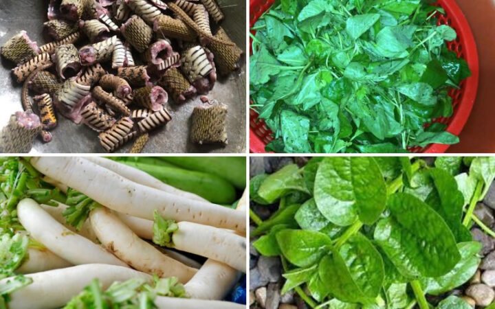 Nguyên liệu tươi ngon cho món rắn hầm sả