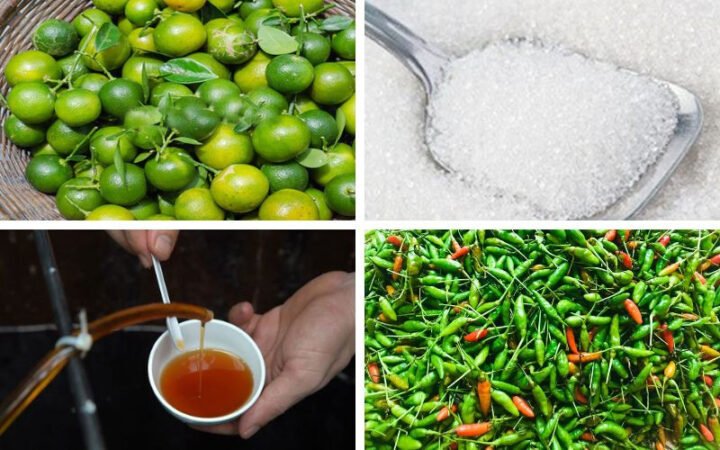 Nguyên liệu tươi ngon để làm sốt tắc chấm bánh tráng tại nhà