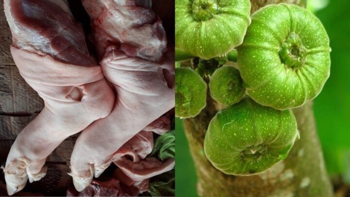 Nguyên liệu tươi ngon để nấu giò heo hầm vả tại nhà