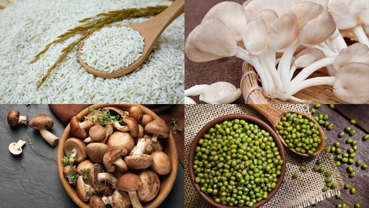 Nguyên liệu tươi ngon để nấu món cháo nấm chay tại nhà