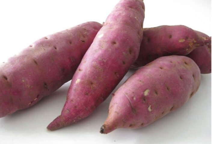 Những củ khoai lang tươi ngon, màu sắc đẹp mắt, là nguyên liệu chính để làm bánh khoai lang kén
