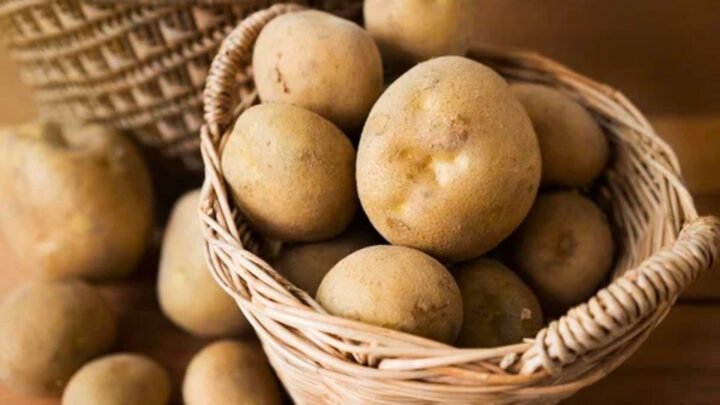 Những củ khoai tây tươi ngon, vỏ sáng vàng sẵn sàng cho món xào hấp dẫn