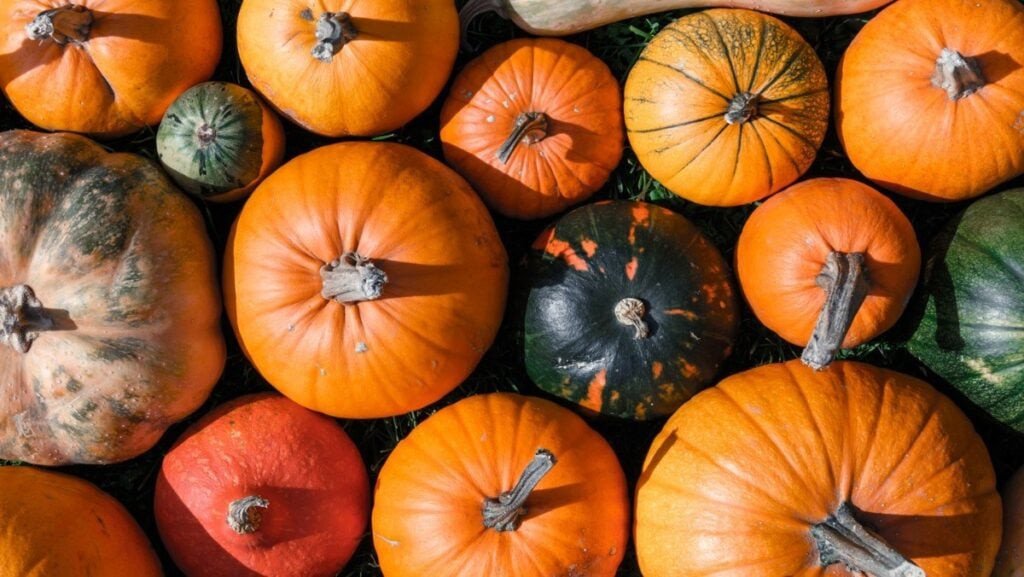 Những điều cần lưu ý khi tiêu thụ bí đỏ để đảm bảo sức khỏe