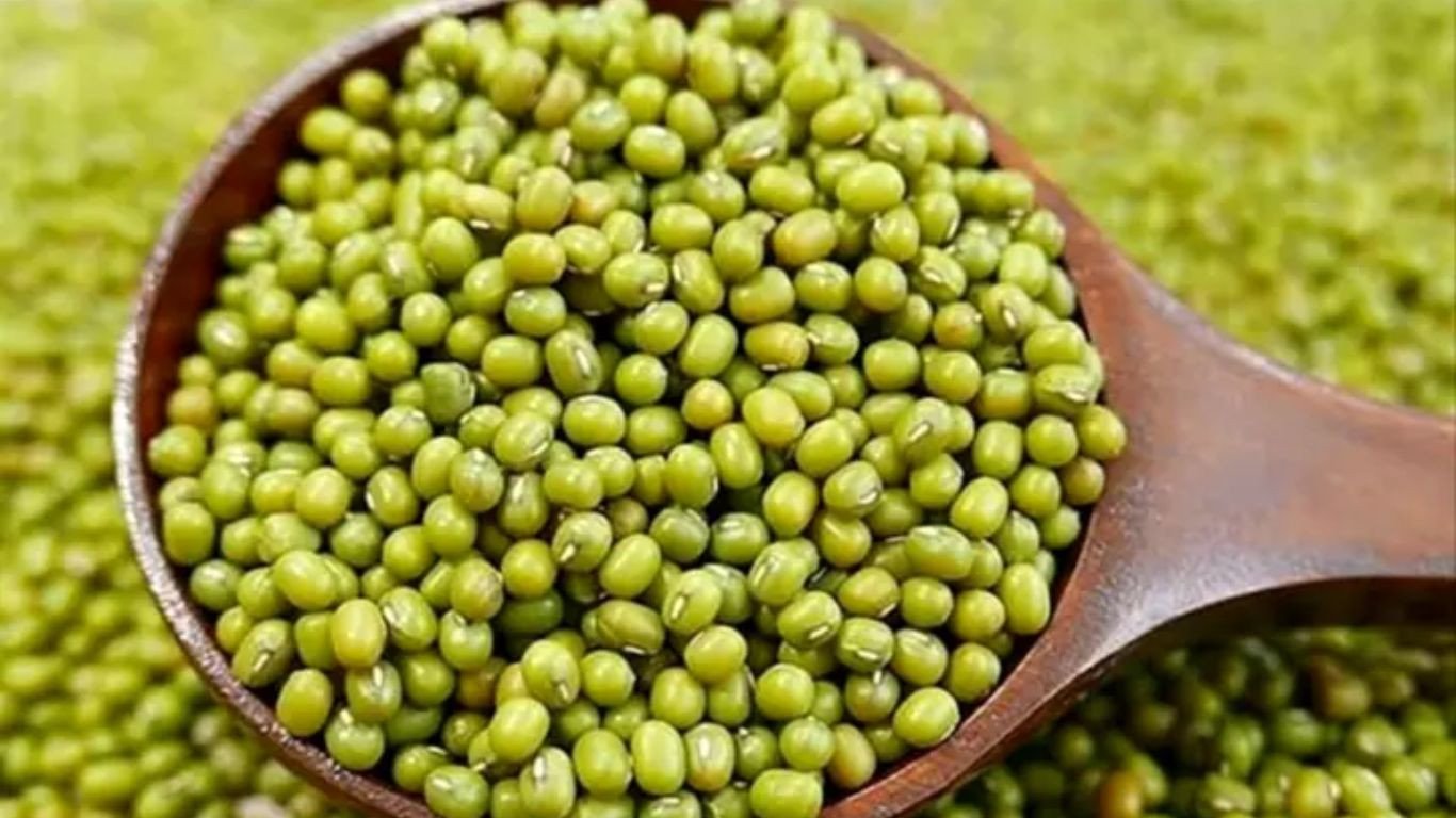 Những hạt đậu xanh chất lượng, mẩy đều giúp món chè đậu xanh nước cốt dừa thêm ngon