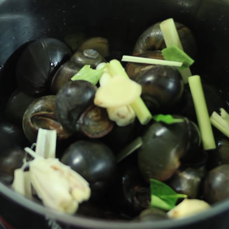 Ốc bươu đang được luộc cùng sả, gừng để khử mùi tanh